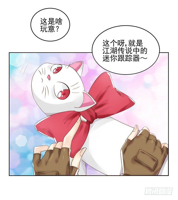 5话 寻猫有道60