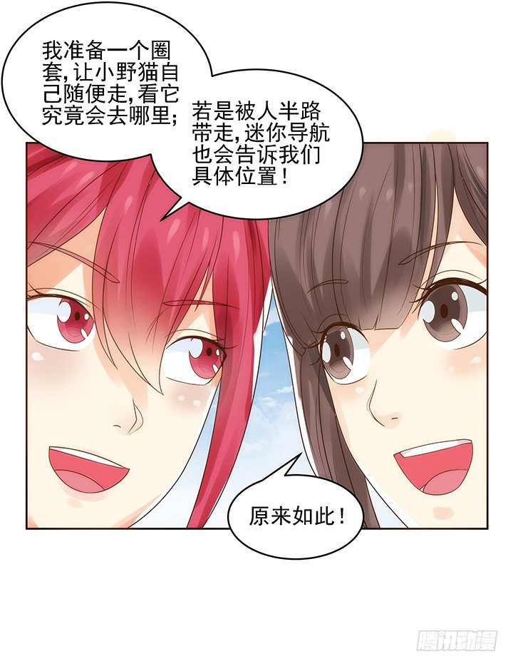 5话 寻猫有道63