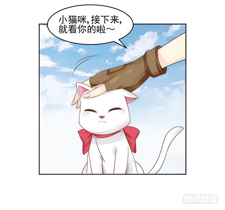 5话 寻猫有道64