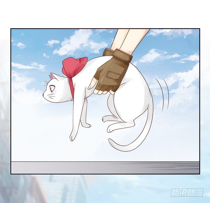 5话 寻猫有道65