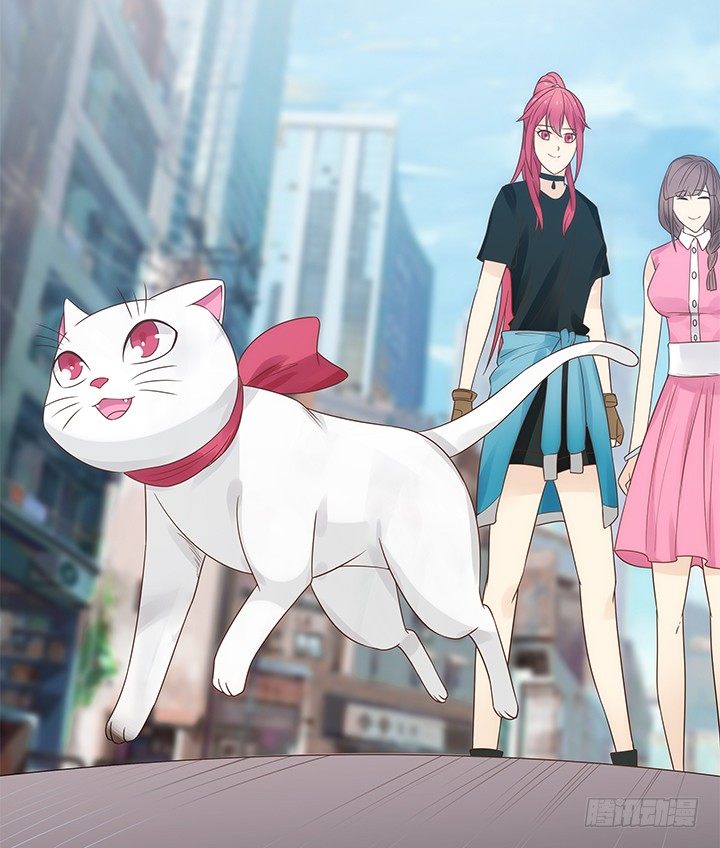 5话 寻猫有道66