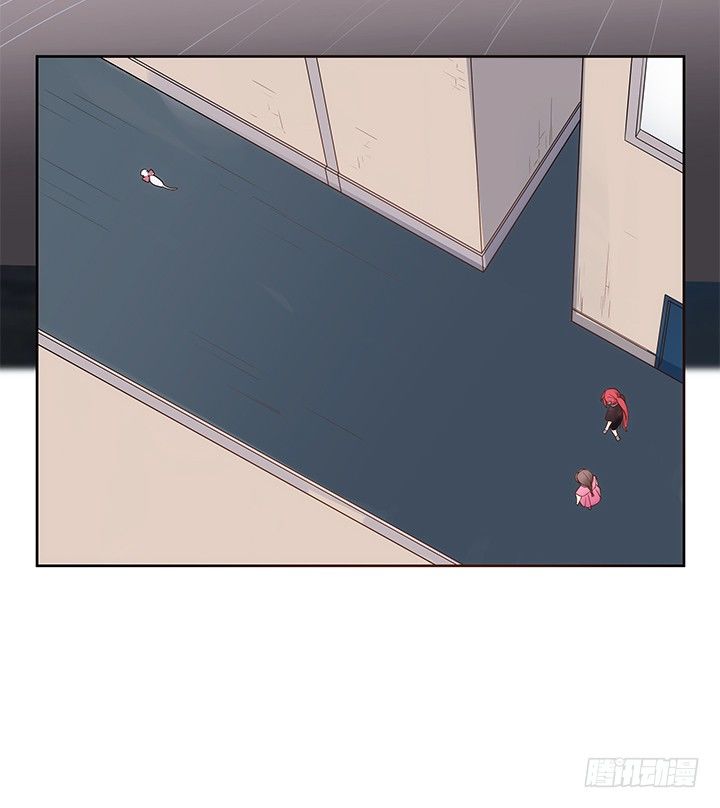 5话 寻猫有道67