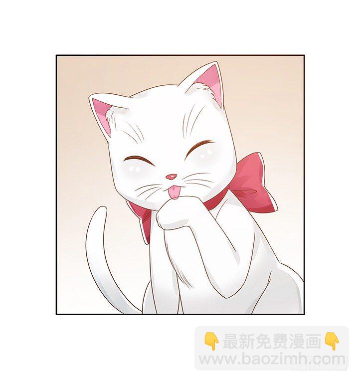 5话 寻猫有道69