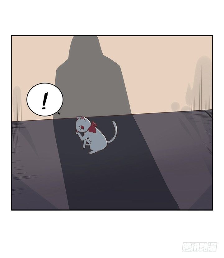 5话 寻猫有道70