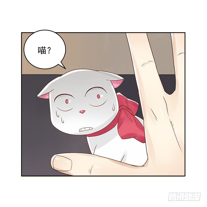 5话 寻猫有道71