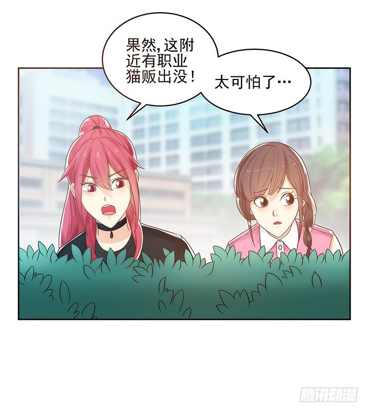 5话 寻猫有道76