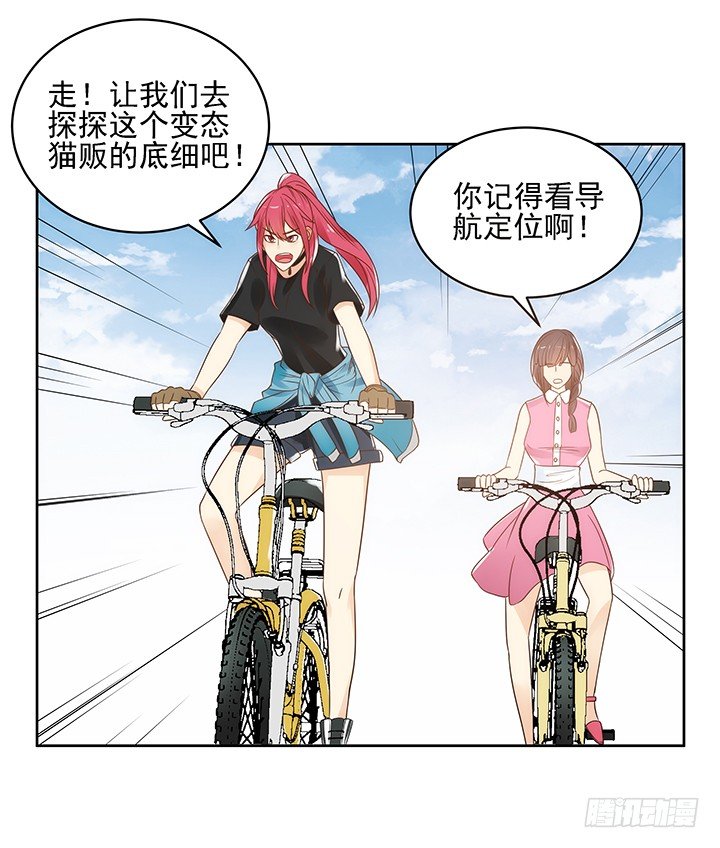 5话 寻猫有道78