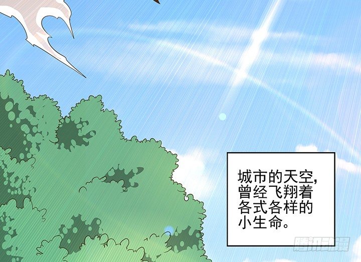 7话 你脑袋里只有臭豆腐2