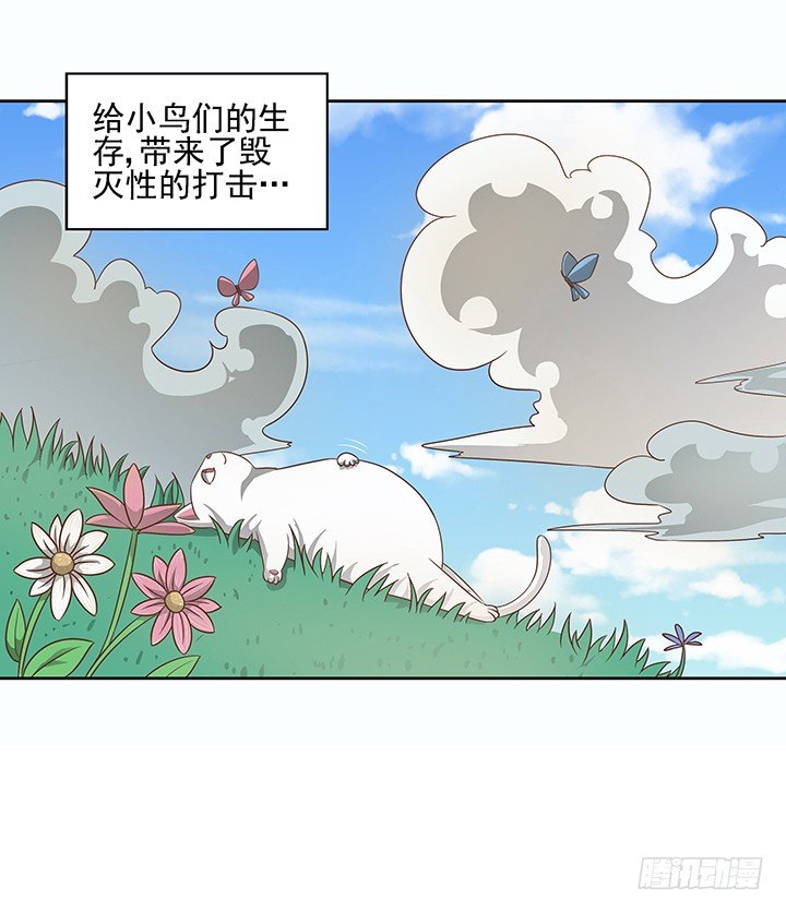 7话 你脑袋里只有臭豆腐6