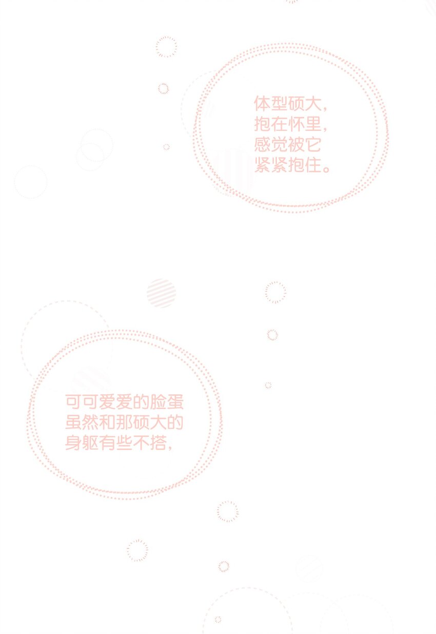04 小熊玩偶9