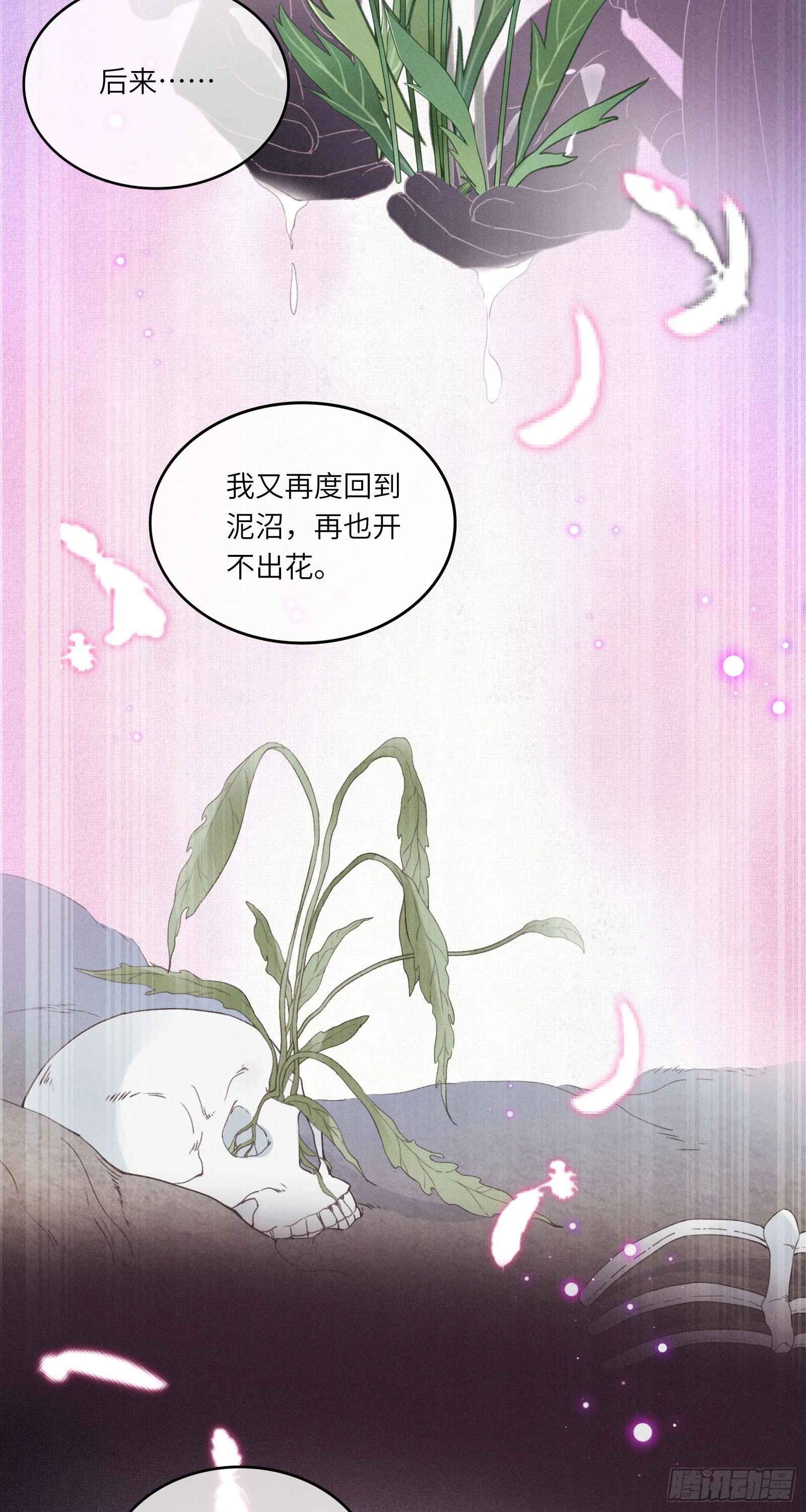 第六十一话 赏花35