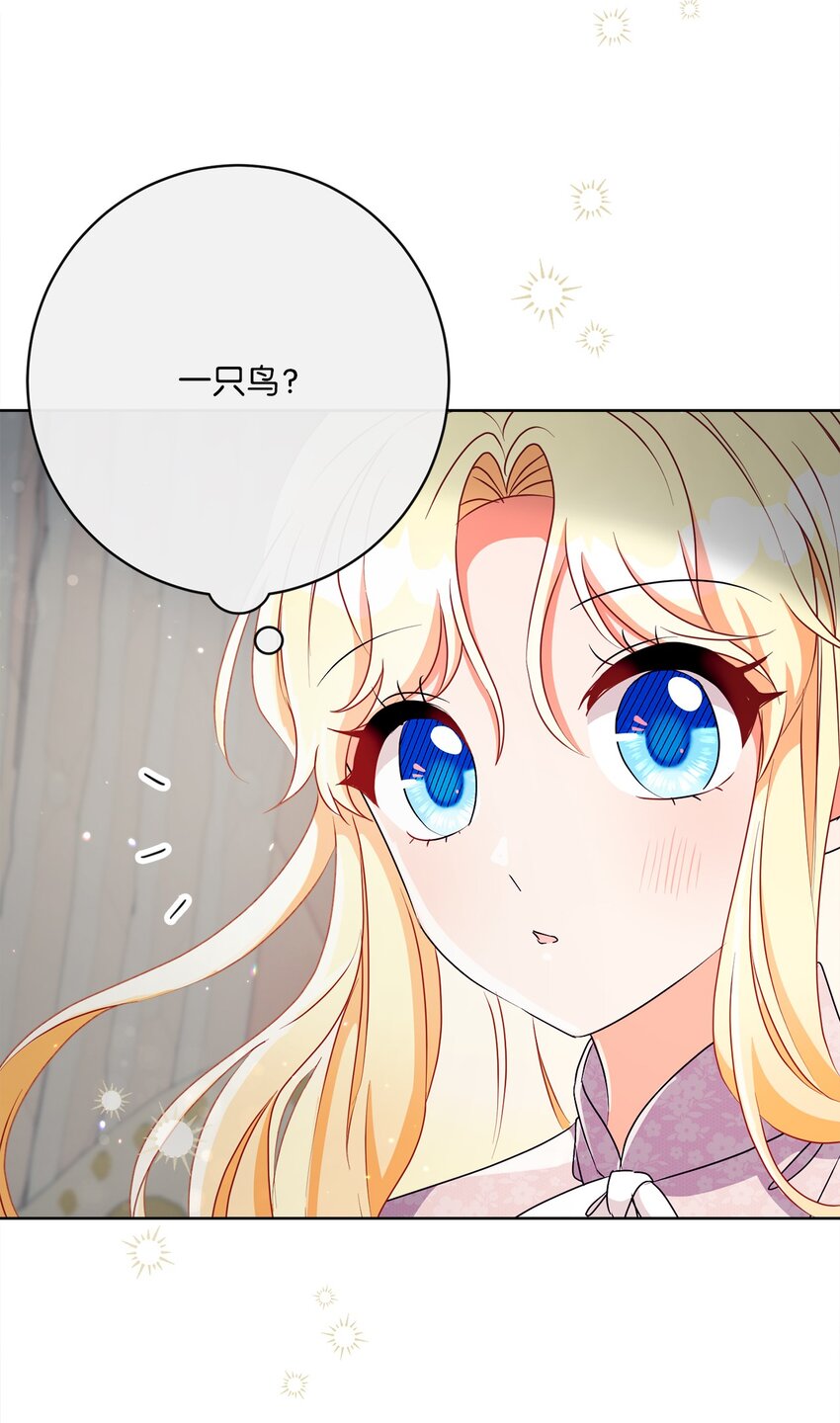 36 生日礼物（2）48