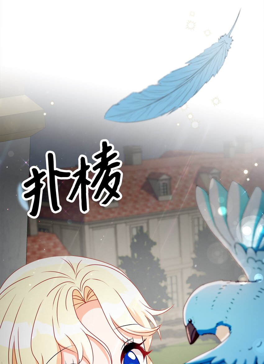 36 生日礼物（2）56