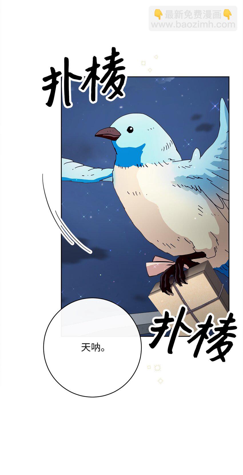 36 生日礼物（2）59