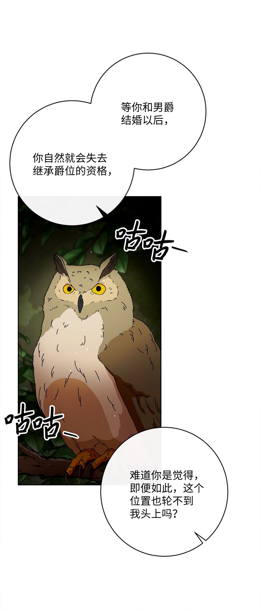 54 设局19