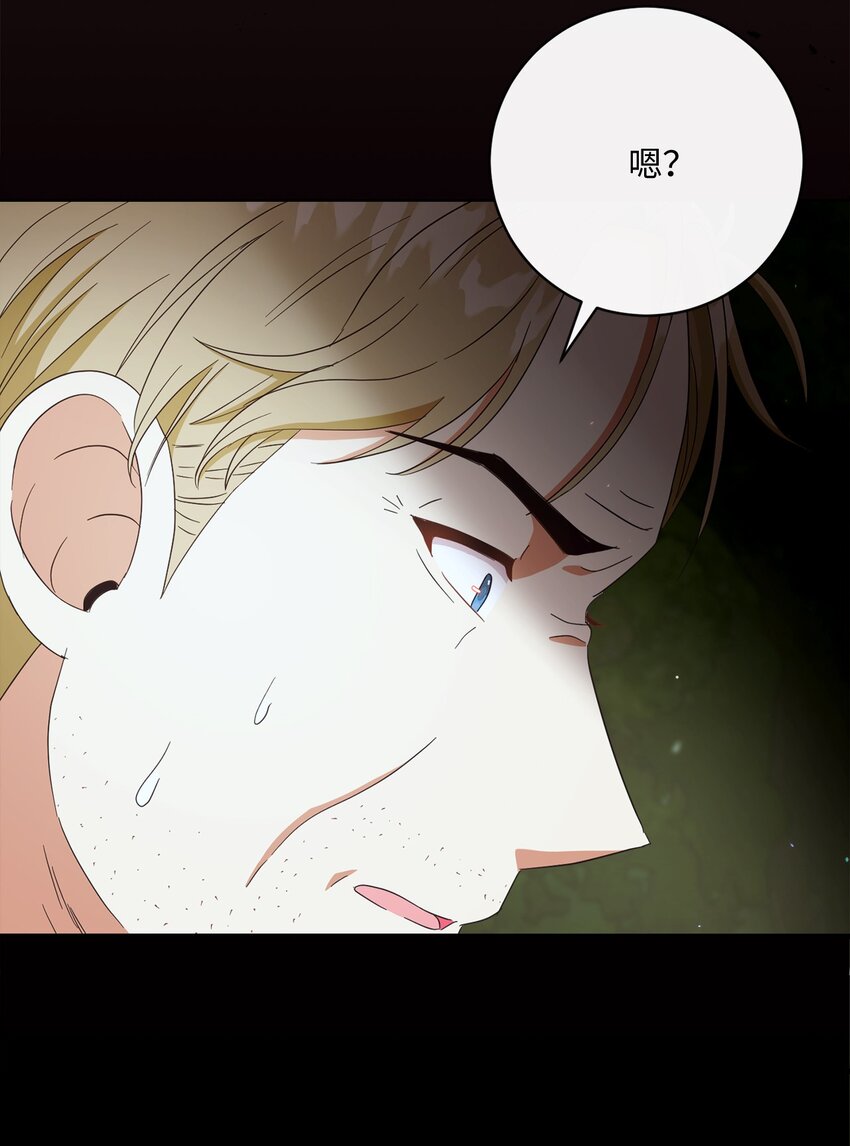 54 设局42