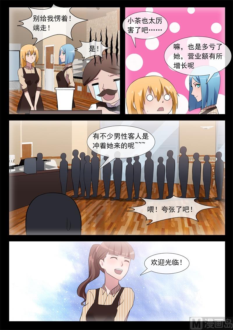 猫铃1
