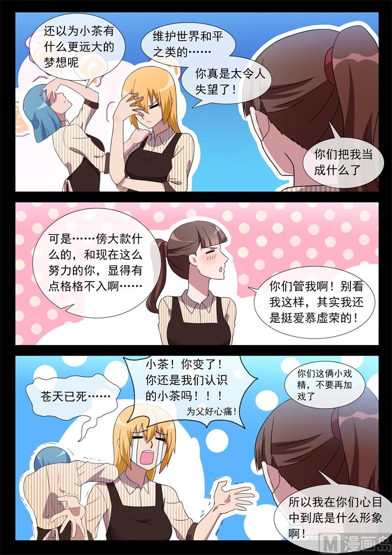 猫铃3