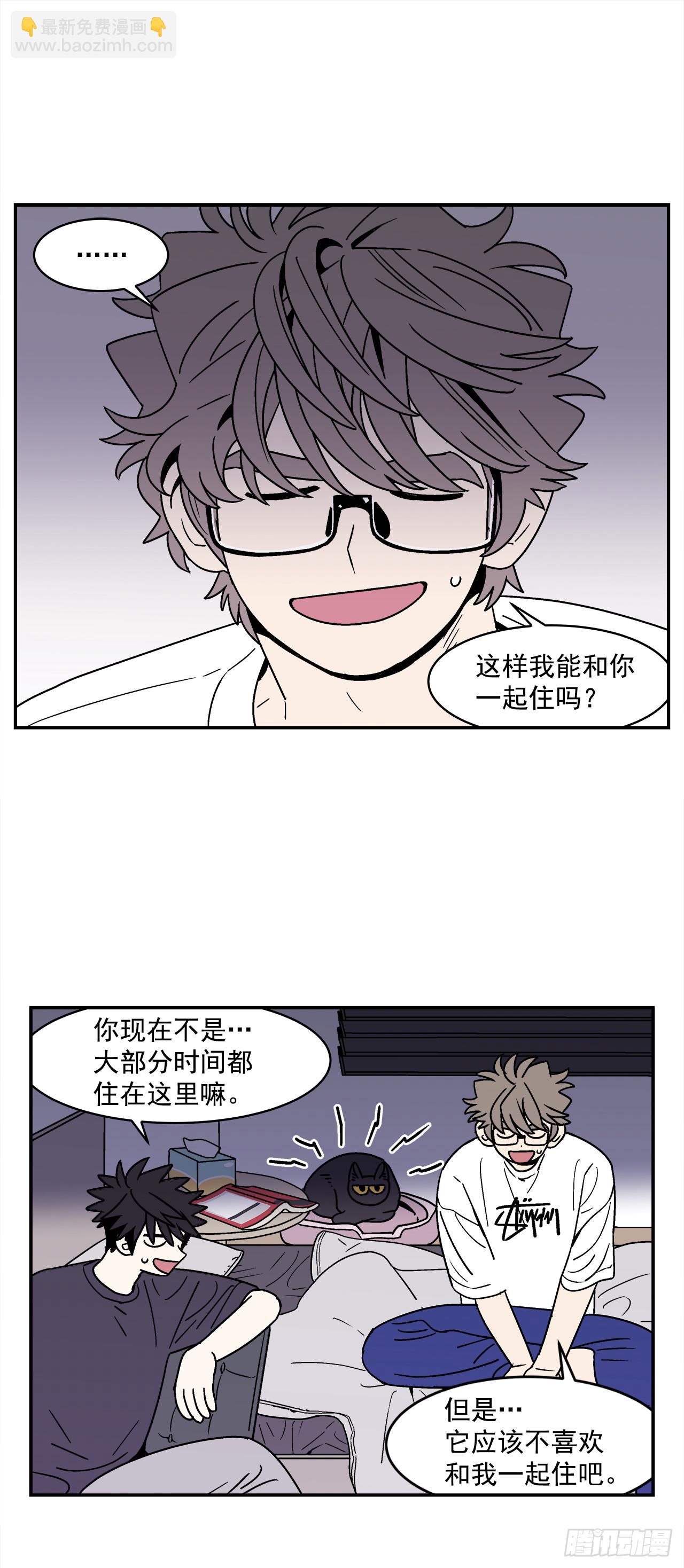 66.番外8 如何搞定猫咪23