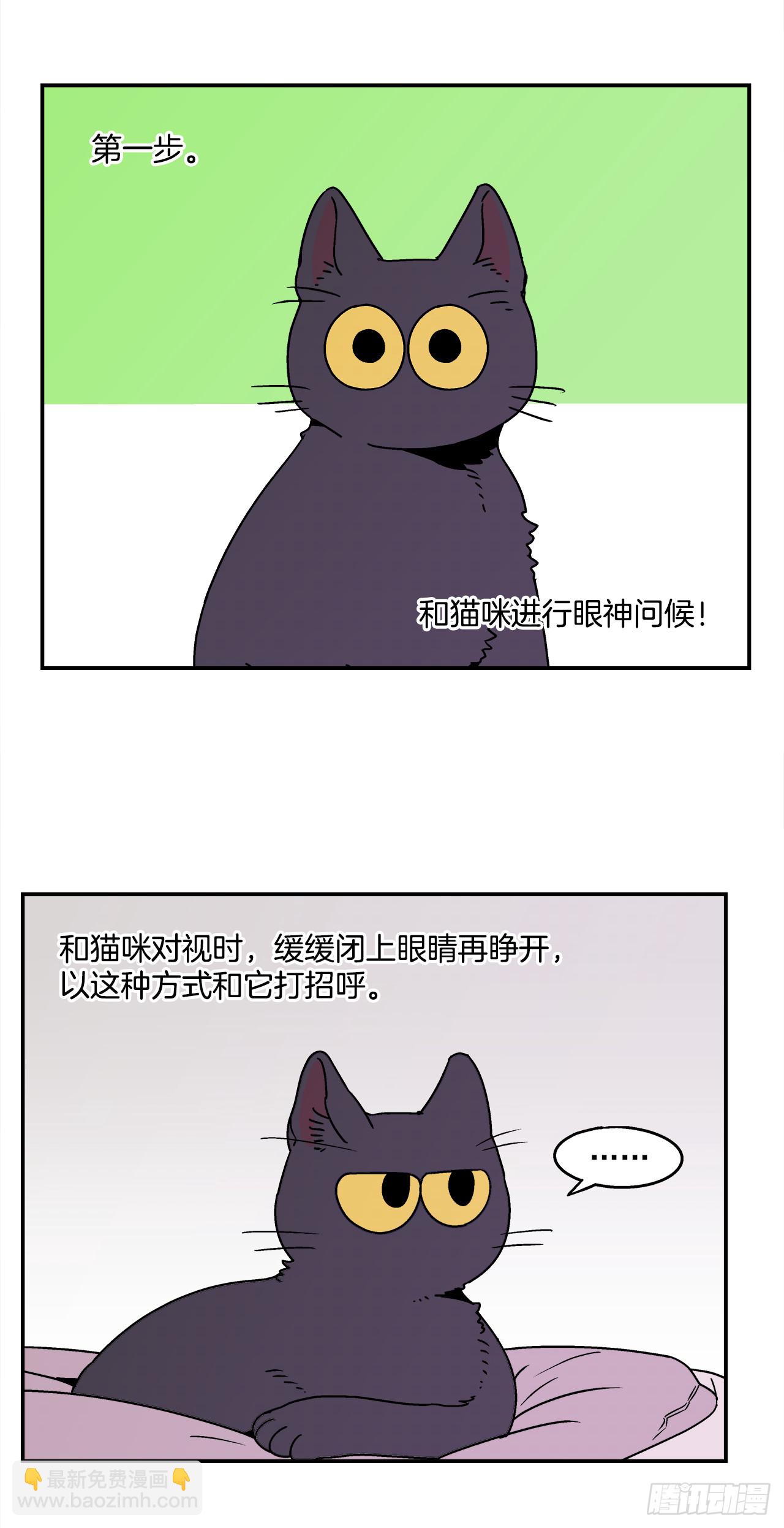 66.番外8 如何搞定猫咪26