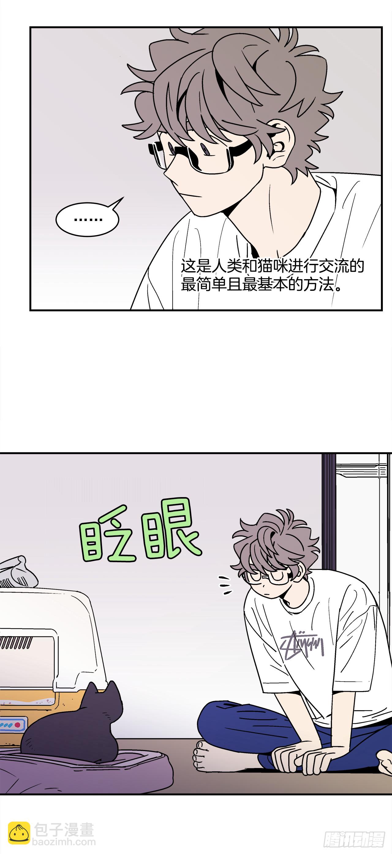 66.番外8 如何搞定猫咪27