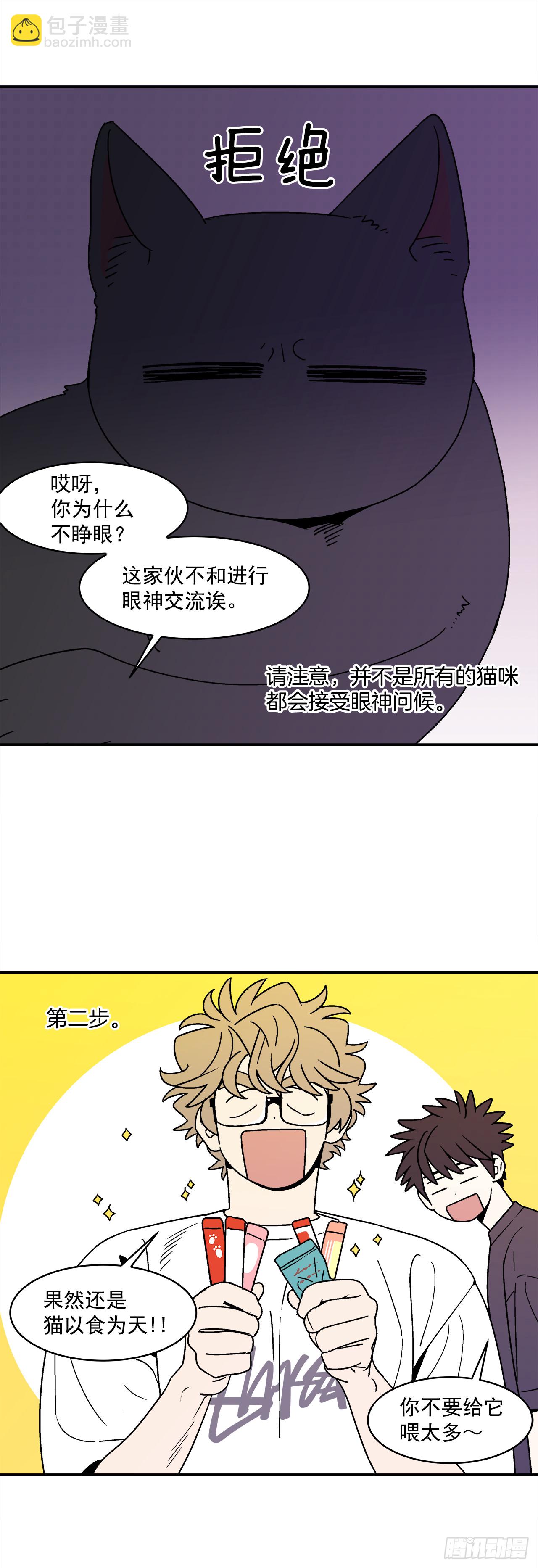 66.番外8 如何搞定猫咪29