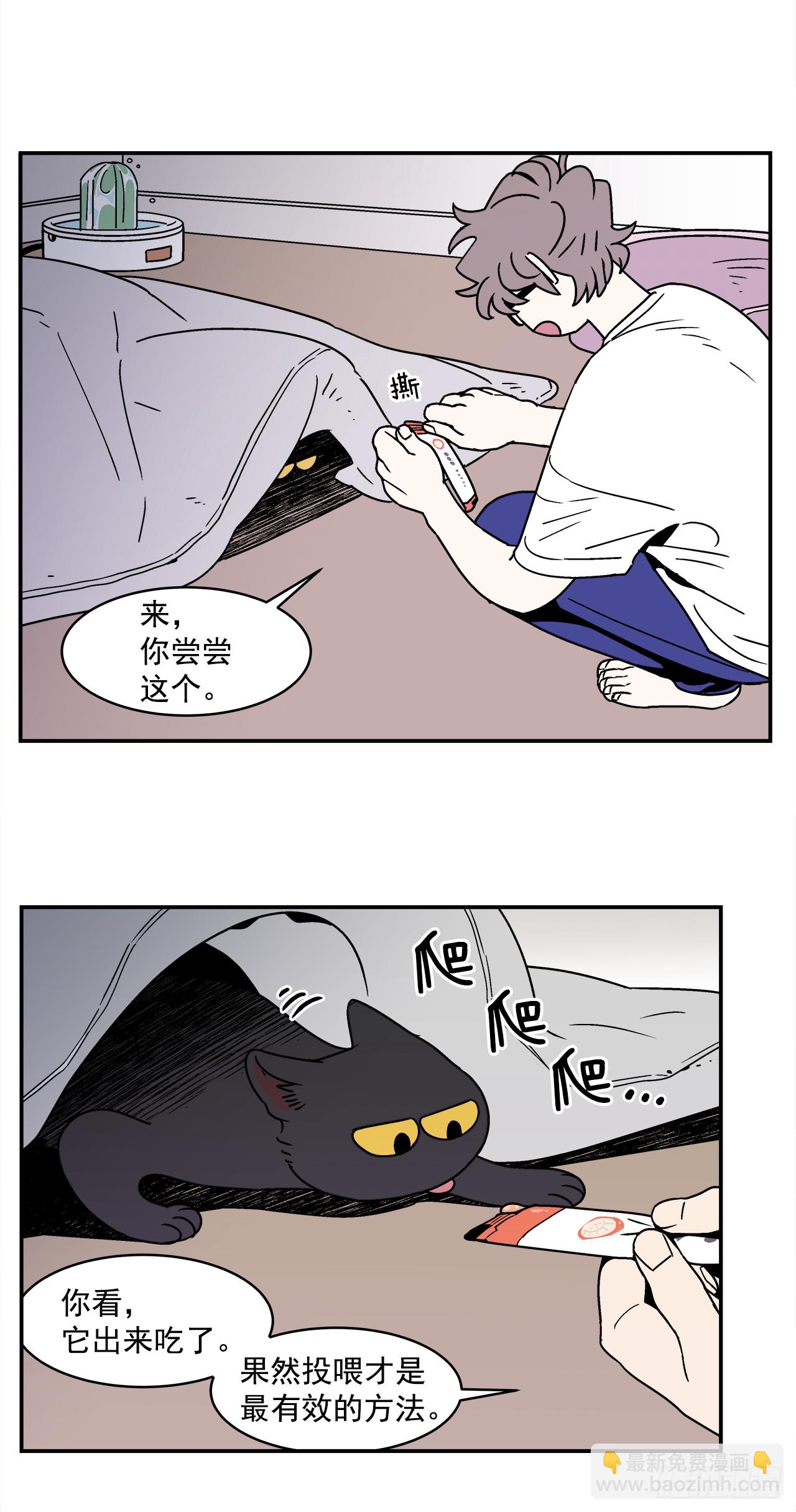 66.番外8 如何搞定猫咪30
