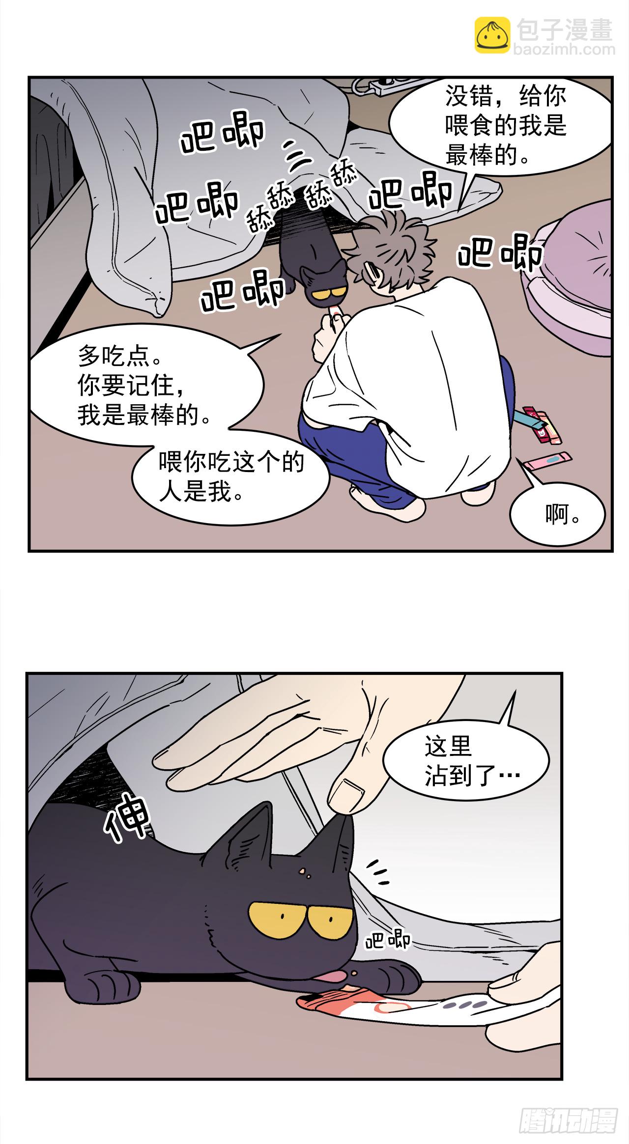 66.番外8 如何搞定猫咪31