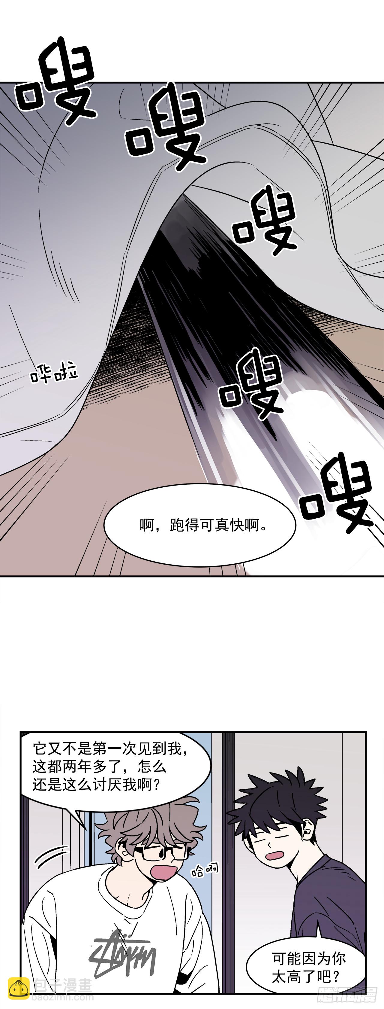 66.番外8 如何搞定猫咪32