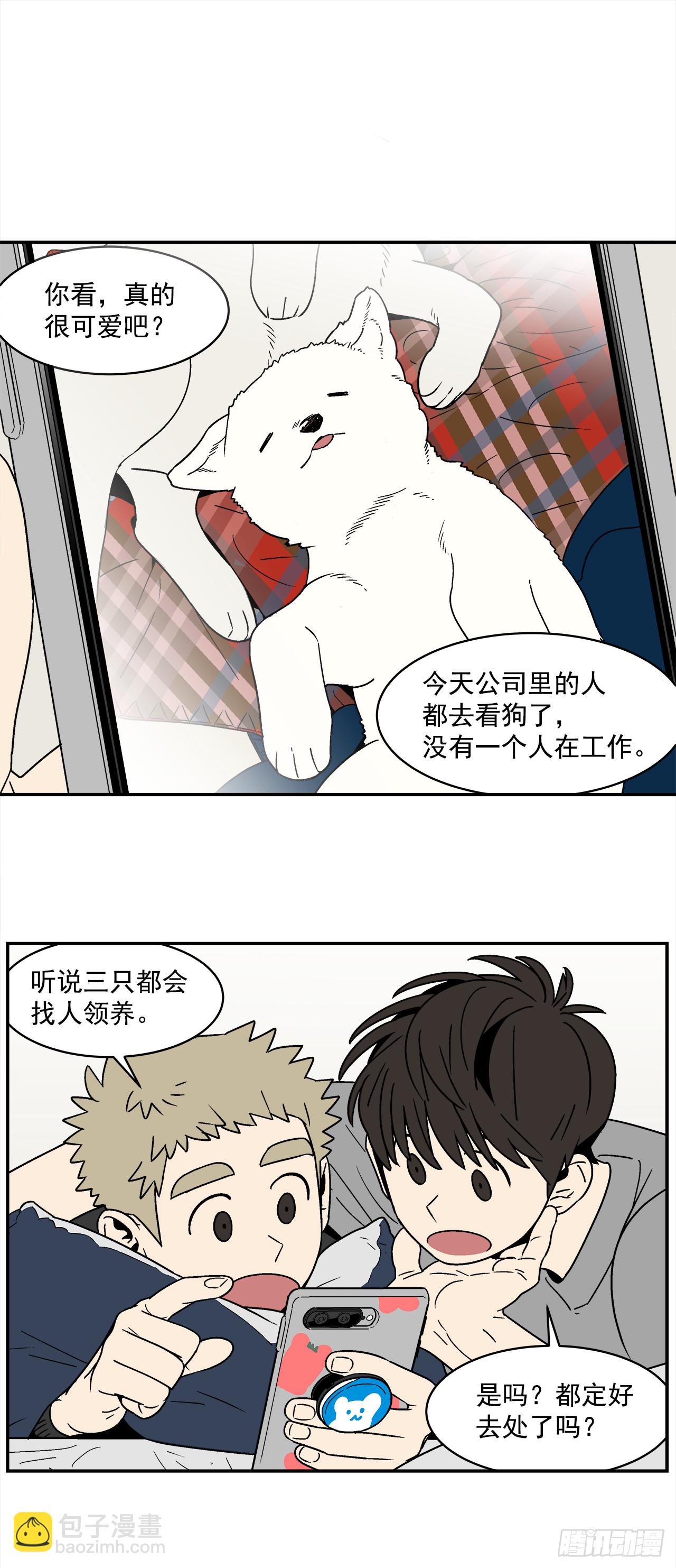 74.番外16 都知道他喜欢我7
