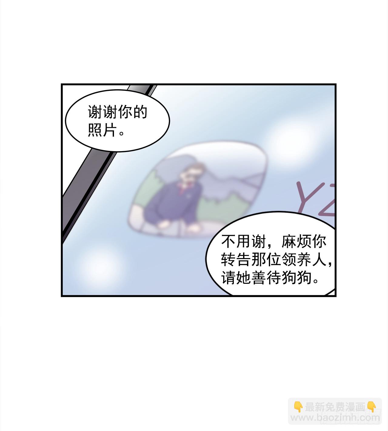 78.番外20 命运般的爱情9
