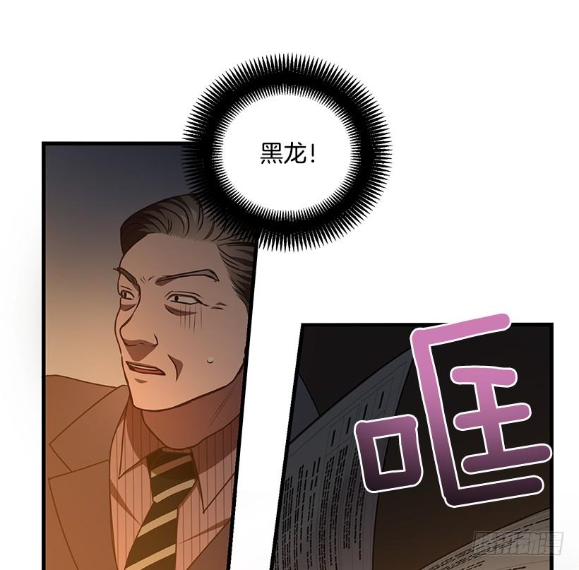 好机会19