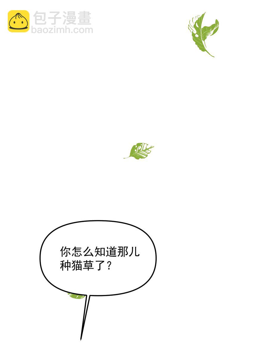 049 他种了好多猫草诶～？41