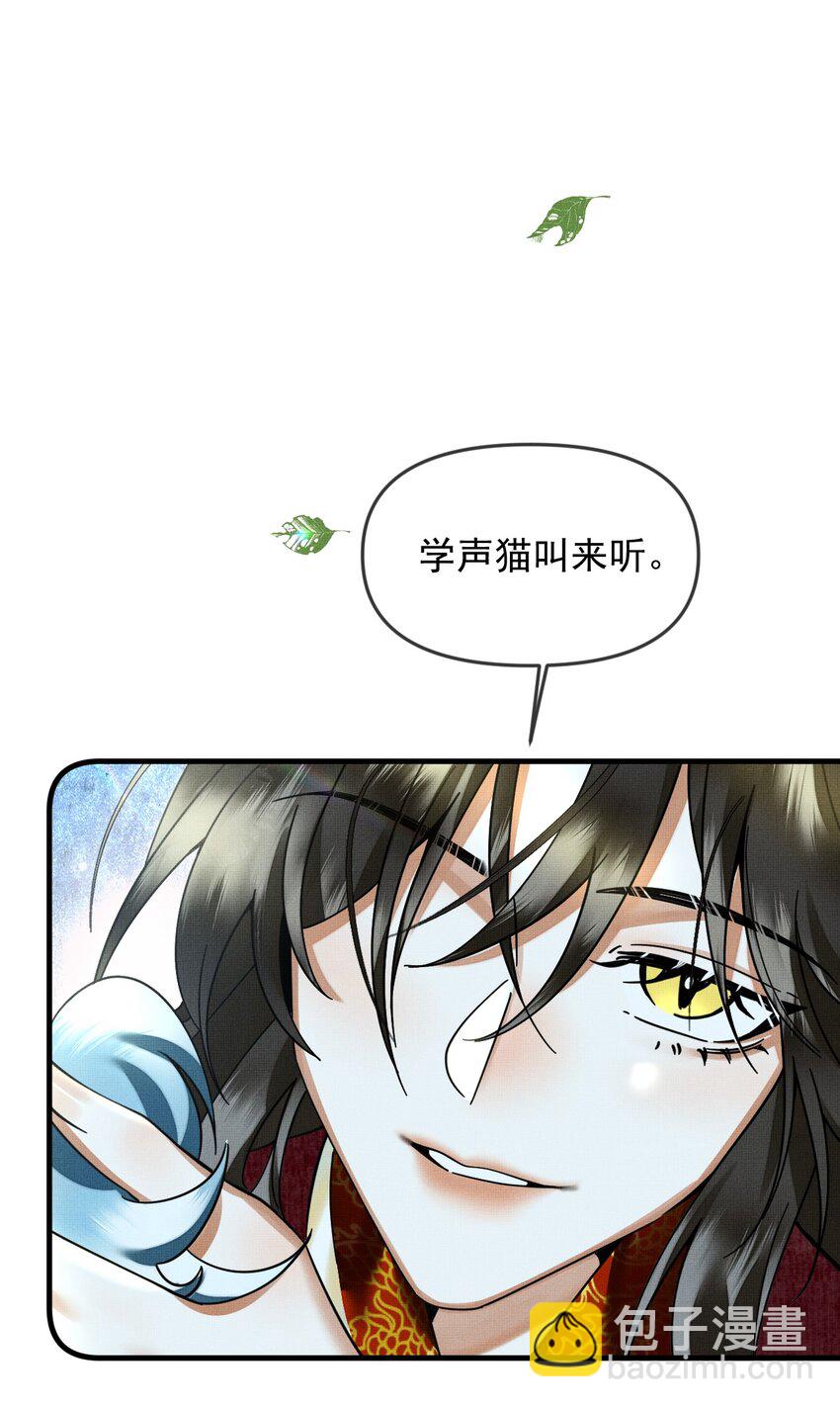 052 我也开始喜欢猫了21