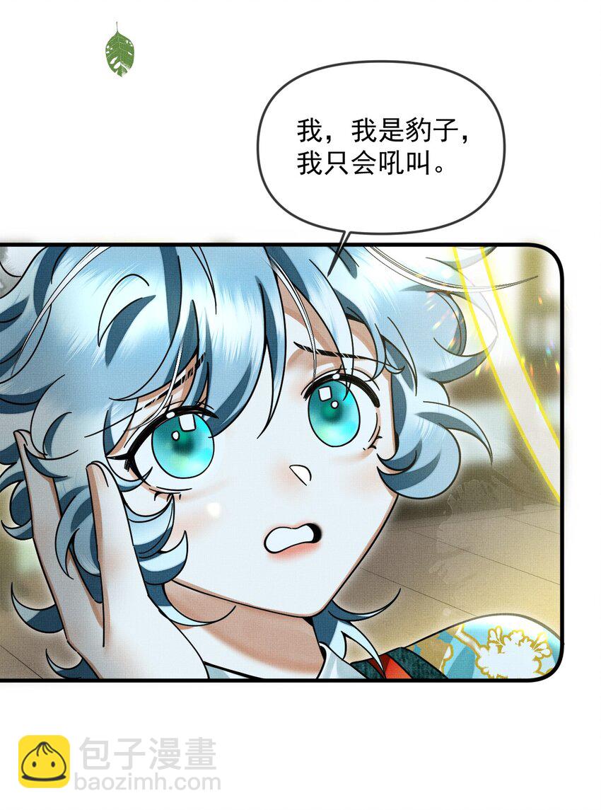 052 我也开始喜欢猫了22