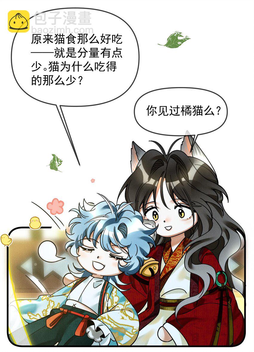 052 我也开始喜欢猫了27