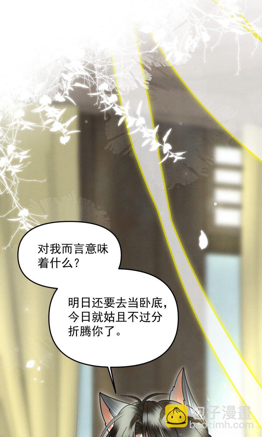 052 我也开始喜欢猫了40
