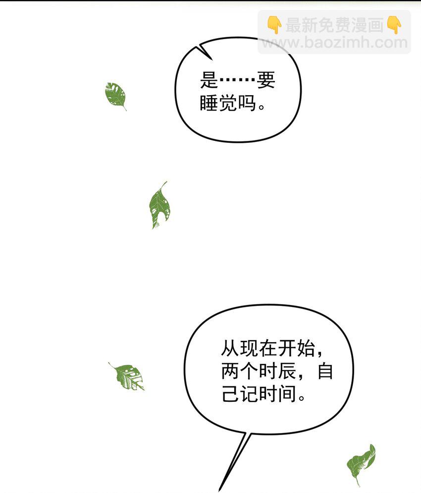 052 我也开始喜欢猫了42