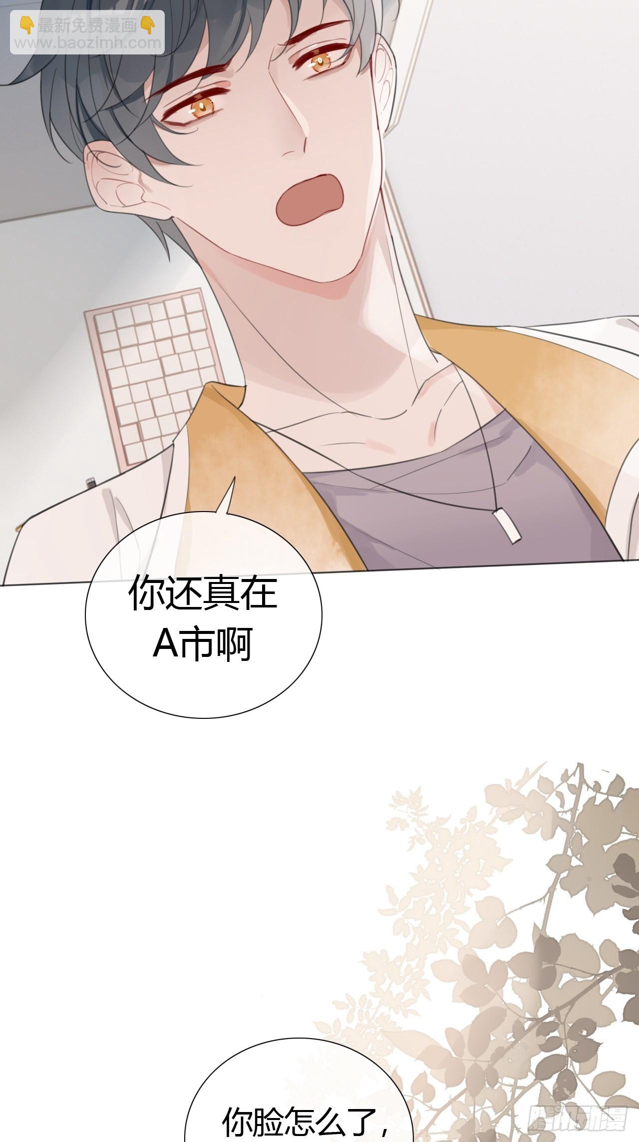 23 甜粽子18
