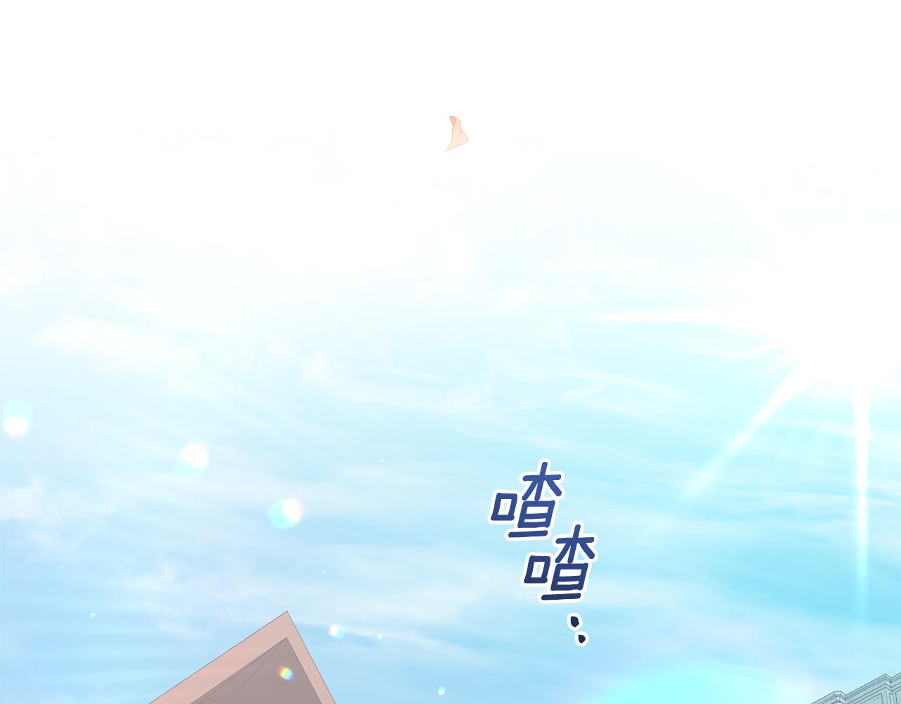 第73话 挑最好的101