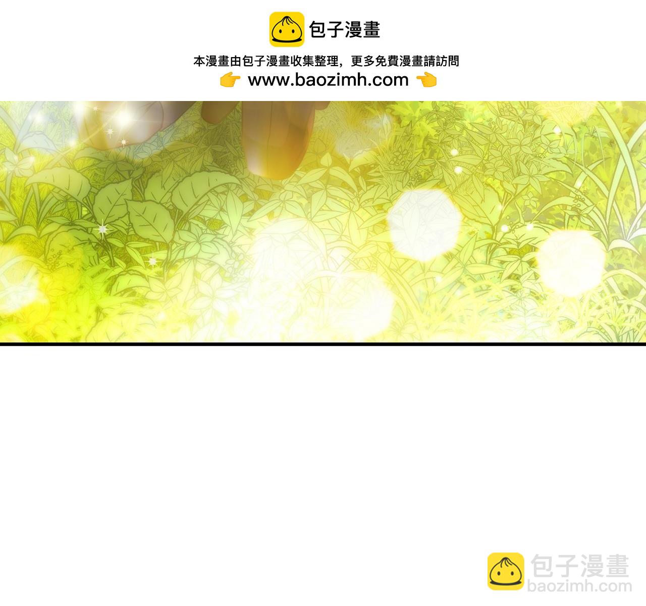 完结篇 漫长旅行后的婚礼2