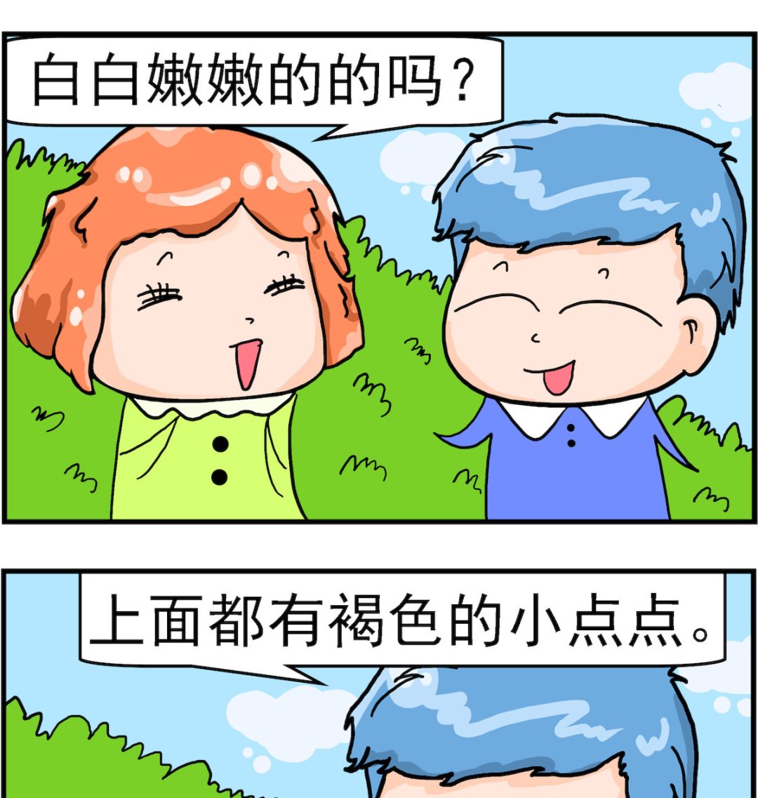 第082话 像鸭梨1