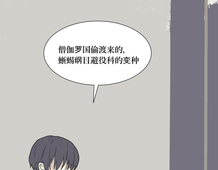第9话 异种（一）27