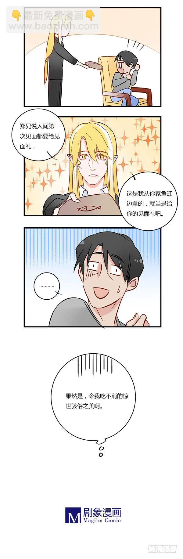 令人难以抗拒的美貌11