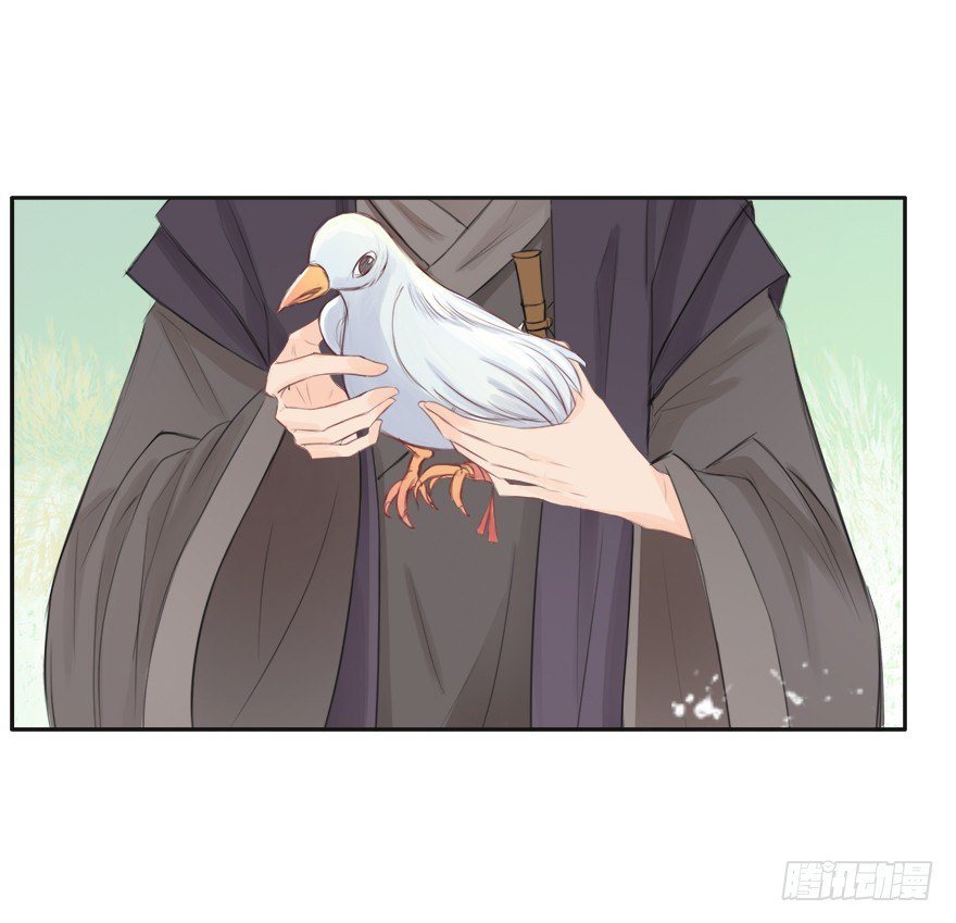 12不思量，自难忘28