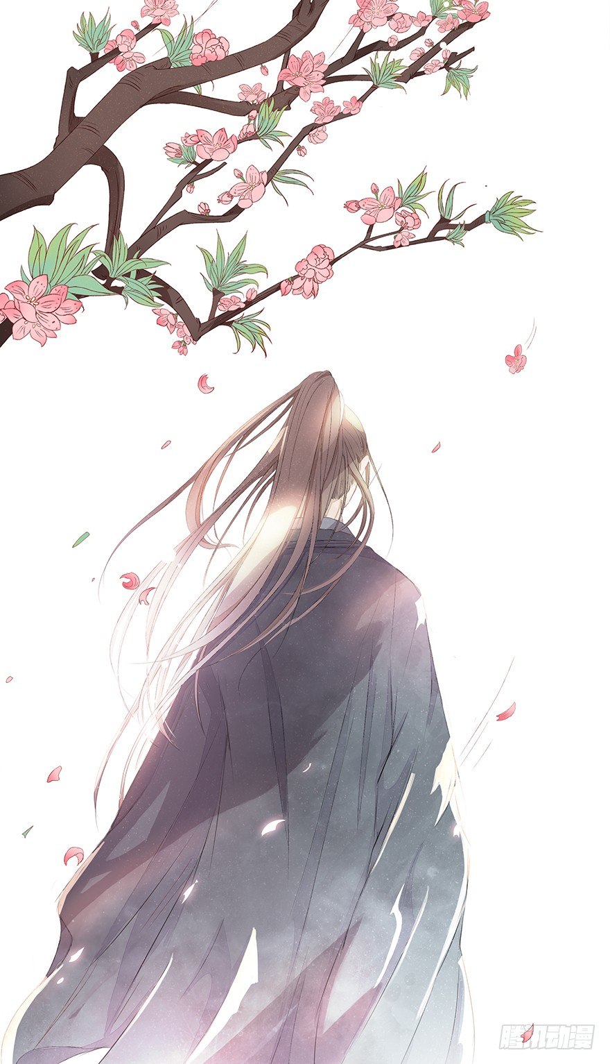 花落无声41