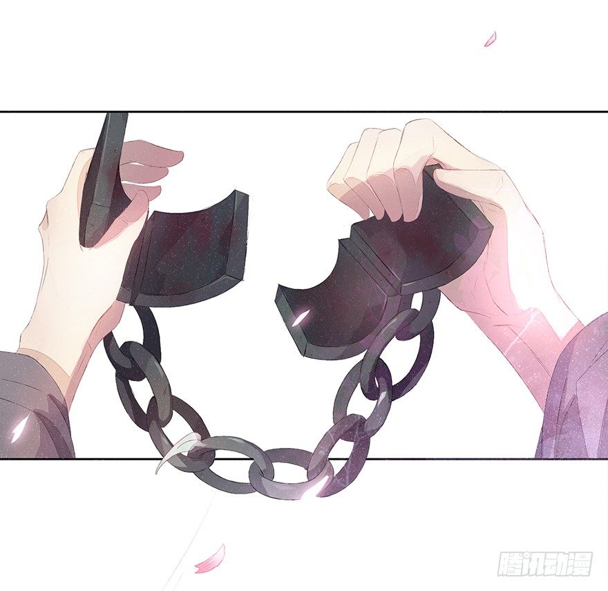 花落无声43