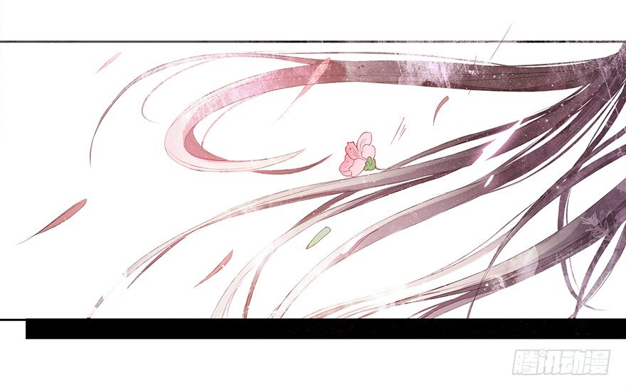 花落无声46