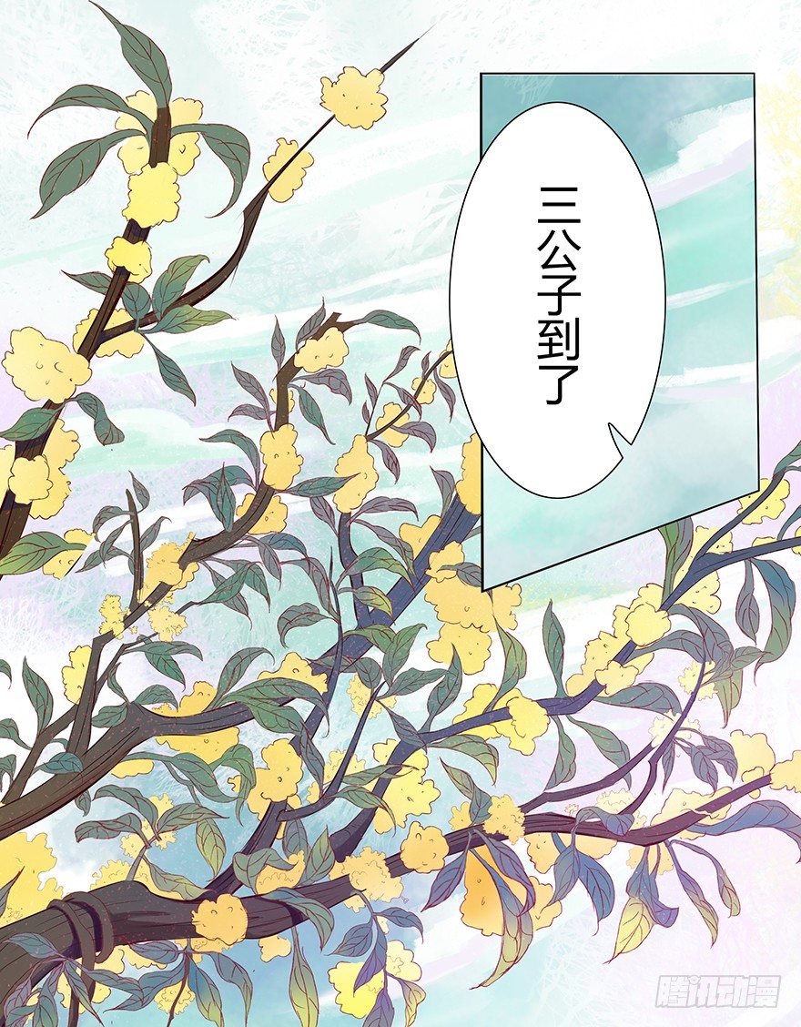 花落无声7