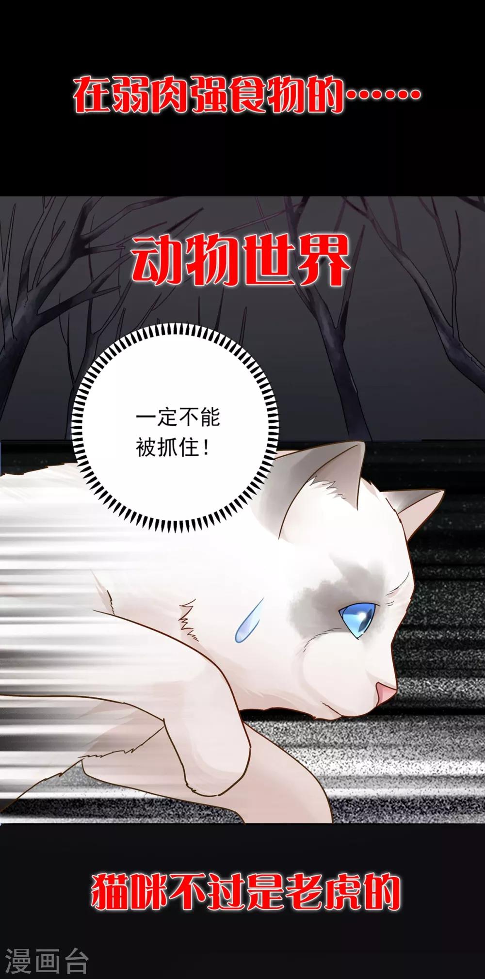 预告0